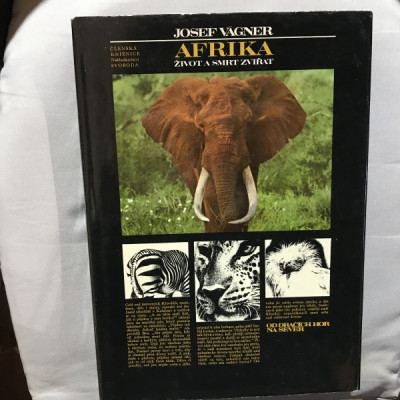 Afrika - život a smrt zvířat