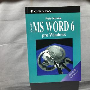 MS Word 6 pro Windows