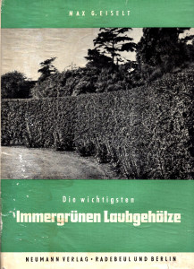 Die wichtigsten Immwegrünen Laubgehölze