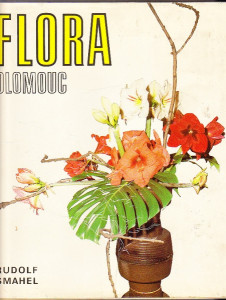 Flora Olomouc