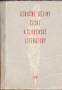 Stručné dějiny české a slovenské literatury