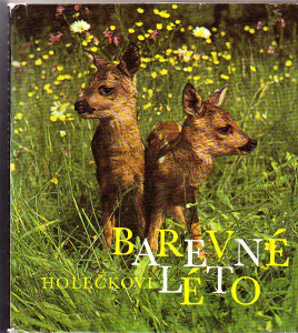 Barevné léto