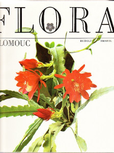 Flora Olomouc