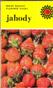 Jahody
