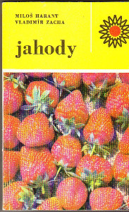 Jahody