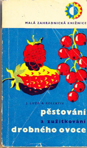 Pěstování a zužitkování drobného ovoce