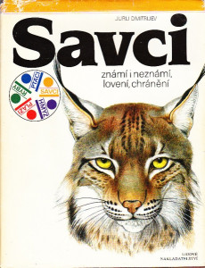 Savci