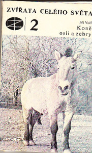 Koně, osli a zebry