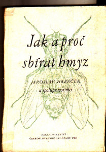 Jak a proč sbírat hmyz