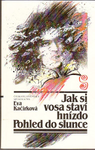 Jak si vosa staví hnízdo; Pohled do slunce