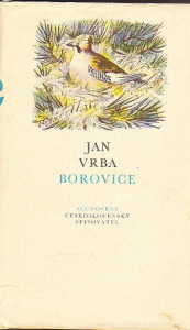 Borovice
