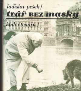 Tvář bez masky
