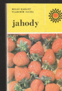 Jahody