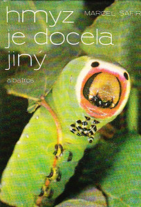 Hmyz je docela jiný