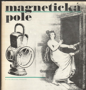 Magnetická pole