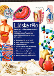 Lidské tělo