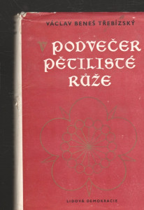 V podvečer pětilisté růže
