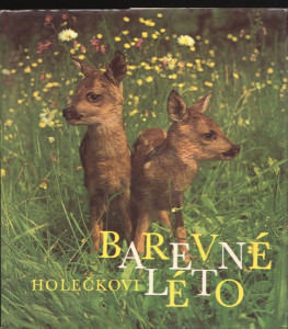 Barevné léto