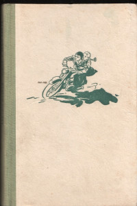 Timur a jeho parta