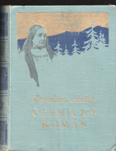 Vesnický román