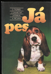 Já pes