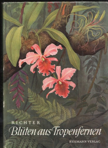 Blüten aus Tropenfernen