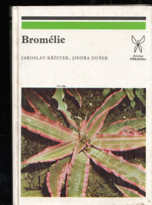 Bromélie
