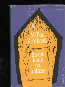 Pásla koně na betoně