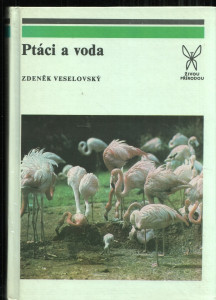 Ptáci a voda