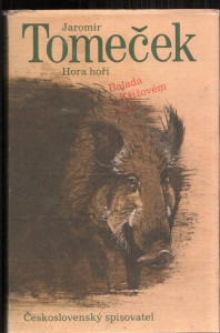 Hora hoří., Balada o Křížovém králi
