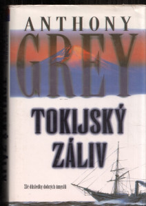 Tokijský záliv