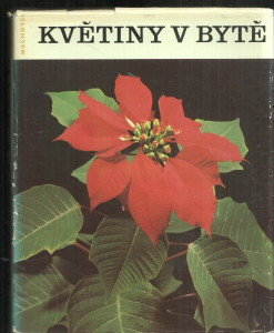 Květiny v bytě