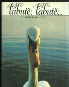 Labutě, labutě