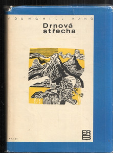 Drnová střecha