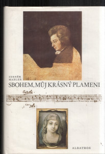 Sbohem, můj krásný plameni