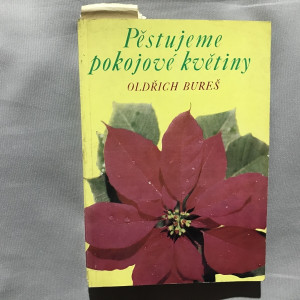 Pěstujeme pokojové květiny