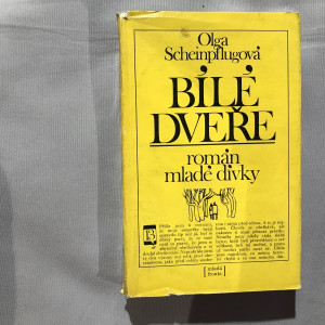 Bílé dveře