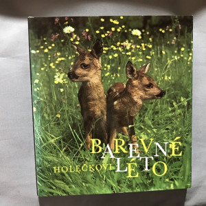 Barevné léto