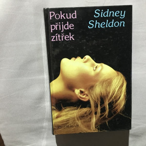 Pokud přijde zítřek