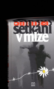 Setkání v mlze