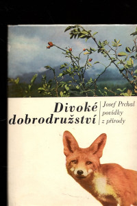 Divoké dobrodružství