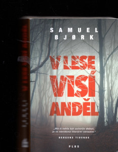 V lese visí anděl