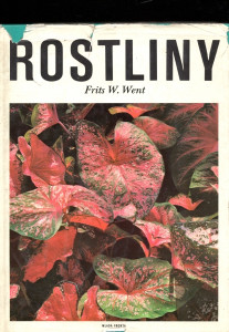 Rostliny
