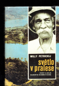 Světlo v pralese
