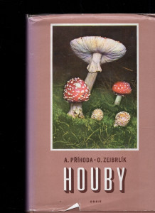Houby