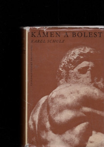 Kámen a bolest