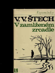 V zamlženém zrcadle
