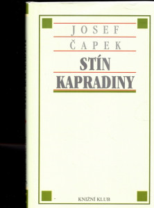 Stín kapradiny