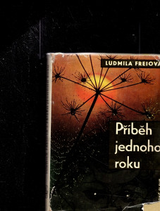 Příběh jednoho roku