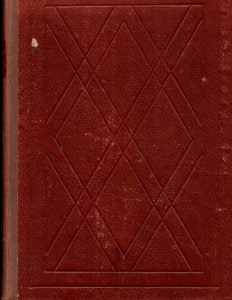 Villon - historie osudu jednoho muže